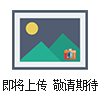 ZDLM-16C-125電子式電動(dòng)套筒調(diào)節(jié)閥